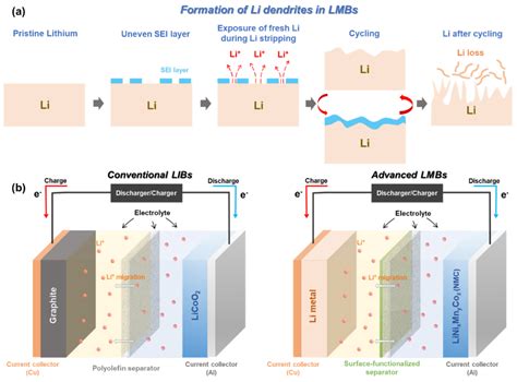  Li-ion Battery Separators: 경량화 및 고성능 배터리의 미래!