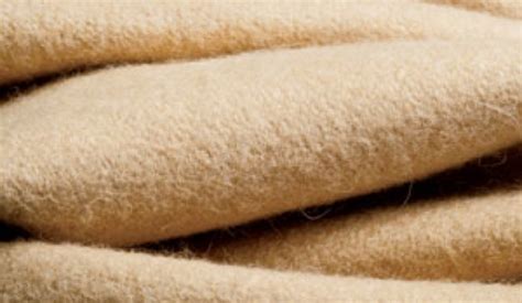 Vicuna Fiber:  High-Performance Luxury Textile Derived From Andean Camelids!