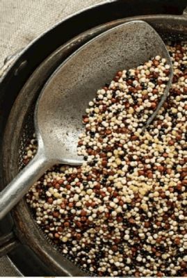  Quinoa: 천연 단백질의 보고, 슈퍼푸드 시장을 뒤흔드는 안보!